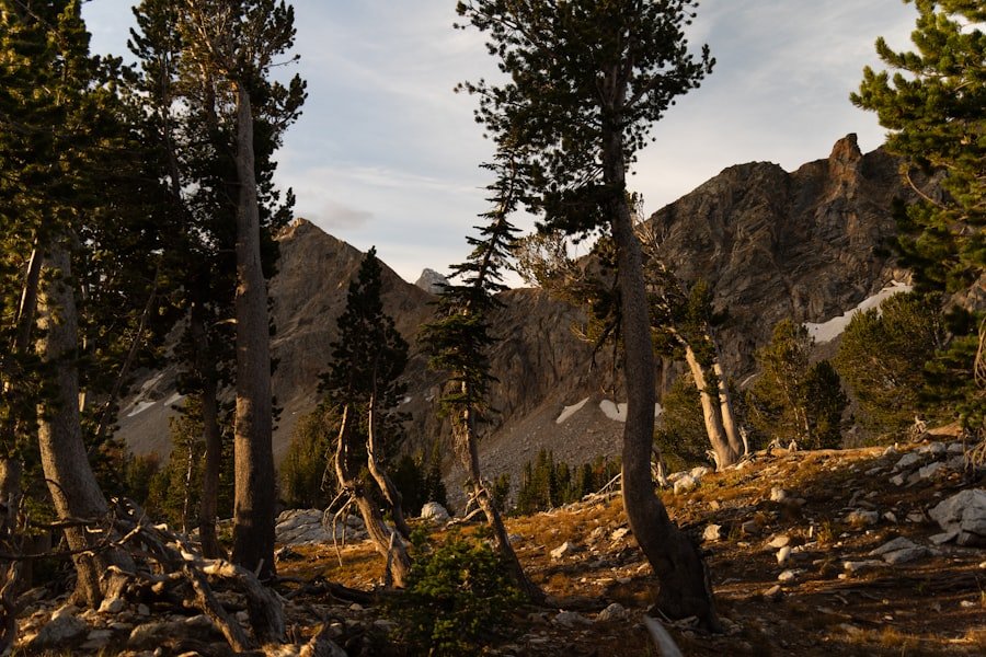 Photo Hike Rocky Mountains Trails