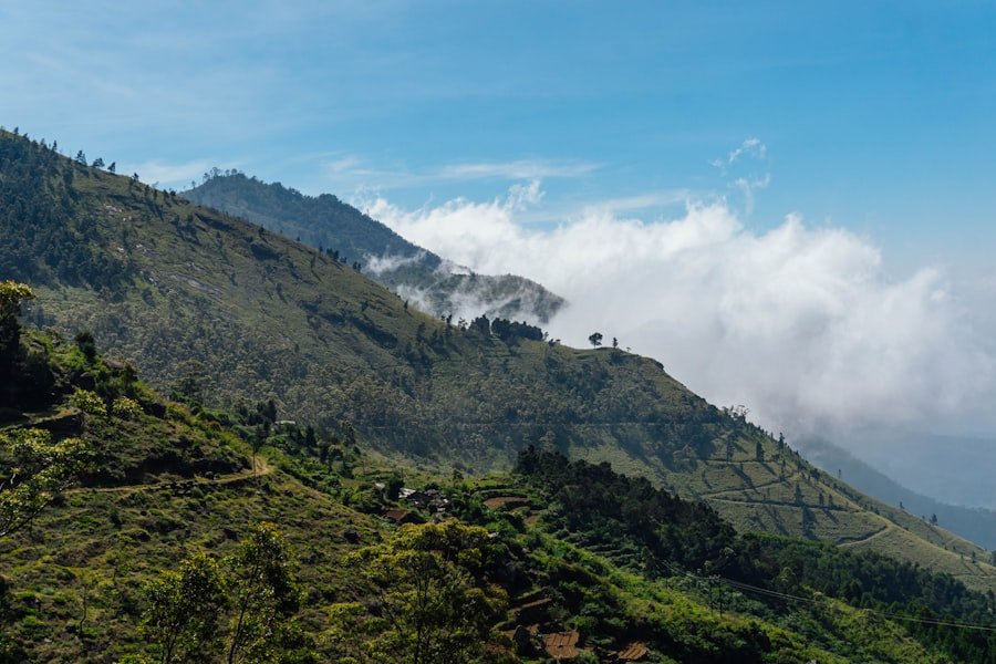 Photo Tea Plantations Sri Lanka