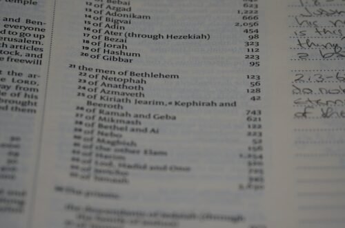 Photo Alimony Calculations