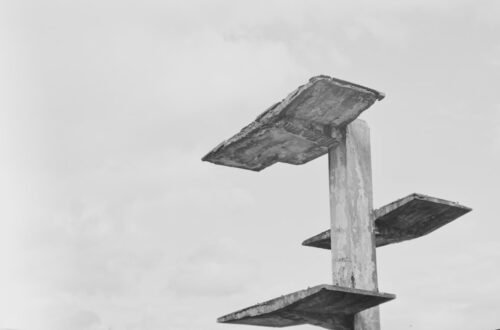 Photo Skill gap recovery